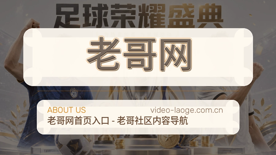老哥网服务说明